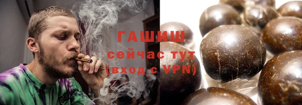 шишки Горняк