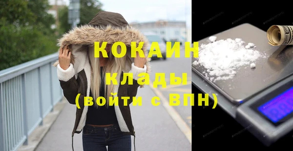 шишки Горняк