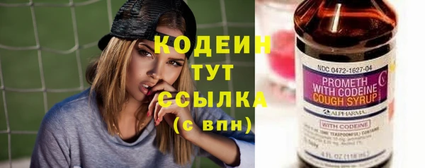 хмурый Вяземский