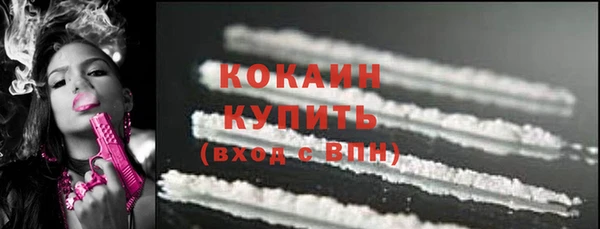 шишки Горняк