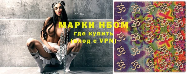 шишки Горняк