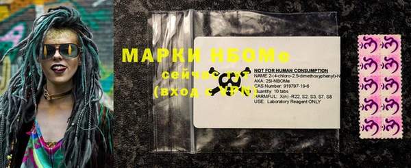 шишки Горняк