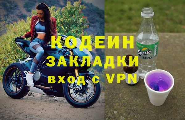 хмурый Вяземский